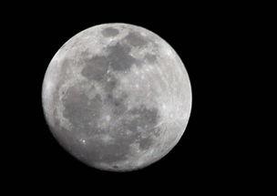 月亮吃瓜君,揭秘神秘月宫美食传奇