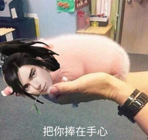 吃瓜路人表现,揭秘网络围观背后的心理奥秘