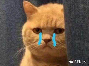 吃瓜路人表现,揭秘网络围观背后的心理奥秘