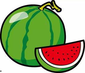 吃瓜蔬菜简笔画