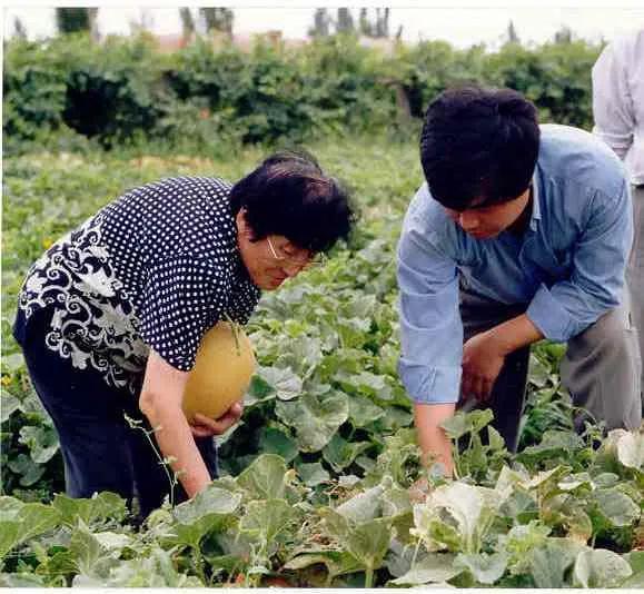 南京交院视频吃瓜,揭秘校园生活趣味瞬间