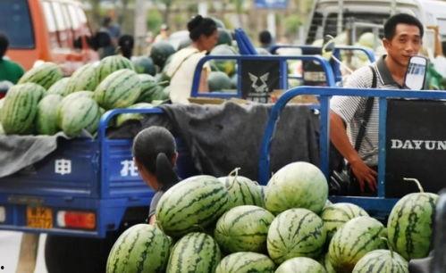 南京交院视频吃瓜,揭秘校园生活趣味瞬间