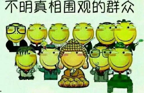 吃瓜群众在犟嘴,吃瓜群众犟嘴风云录