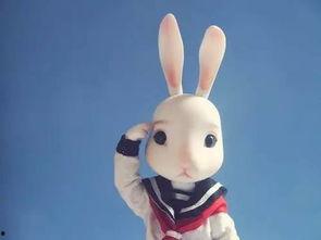 jk兔子日常吃瓜,瓜田里的欢乐时光