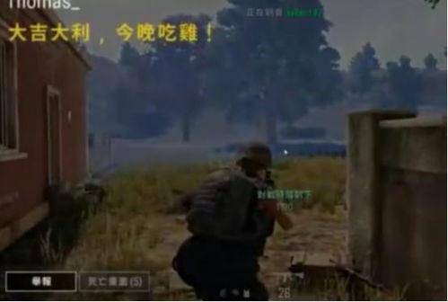 吃鸡圈吃瓜,揭秘吃瓜背后的精彩故事