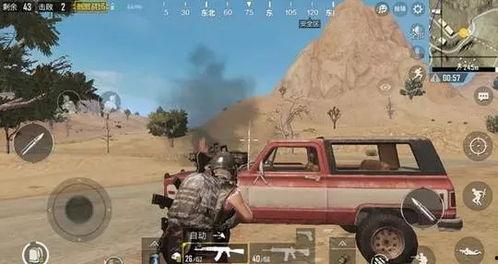 吃鸡圈吃瓜,揭秘吃瓜背后的精彩故事