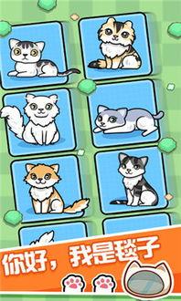 云养猫吃瓜,吃瓜群众也能享受萌宠乐趣