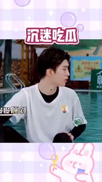 搞笑综艺小说吃瓜