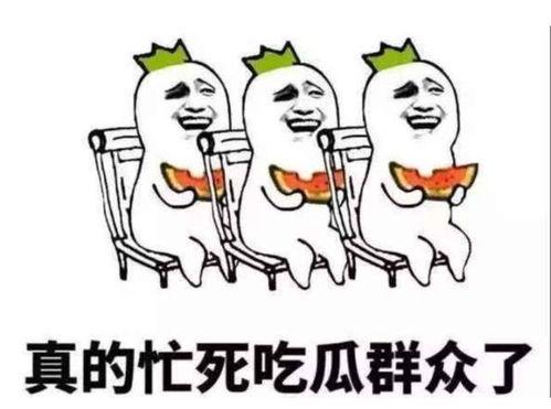 吃瓜群众1224集,揭秘娱乐圈背后的惊人真相