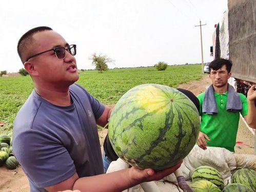 震撼吃瓜网友图片,揭秘网络图片背后的惊人真相！