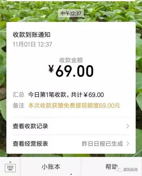 微博吃瓜扫码,揭秘网红背后的秘密