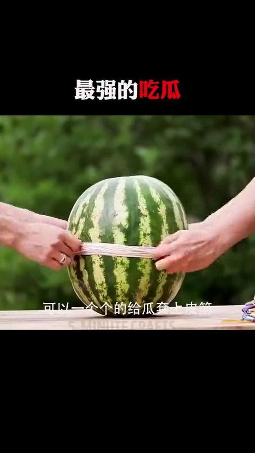吃瓜正确的姿势,轻松解锁观瓜新境界