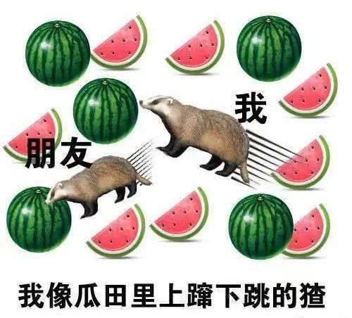 分享吃瓜违法吗,分享吃瓜信息可能违法