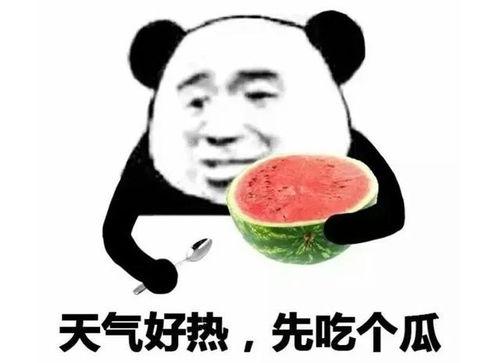吃瓜表情包转场,趣味横生的网络文化现象
