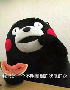 吃瓜表情包转场,趣味横生的网络文化现象