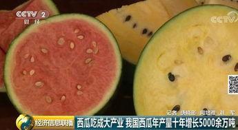 吃瓜群众大军团,揭秘网络舆论场的力量与影响