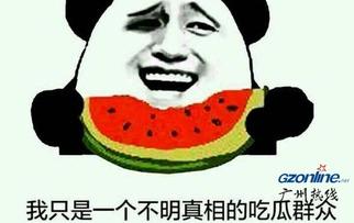 网站吃瓜群众,揭秘网络舆论场中的旁观者与参与者
