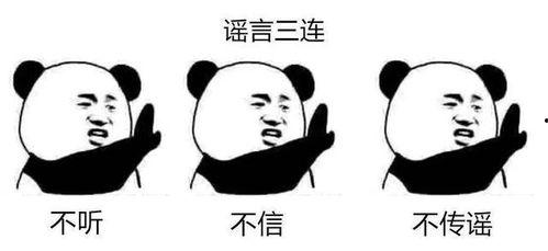 带你吃瓜的套路,带你揭秘娱乐圈那些鲜为人知的幕后故事