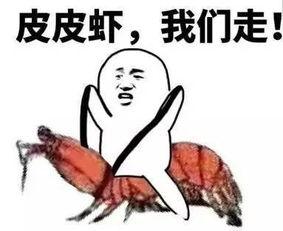带你吃瓜的套路,带你揭秘娱乐圈那些鲜为人知的幕后故事